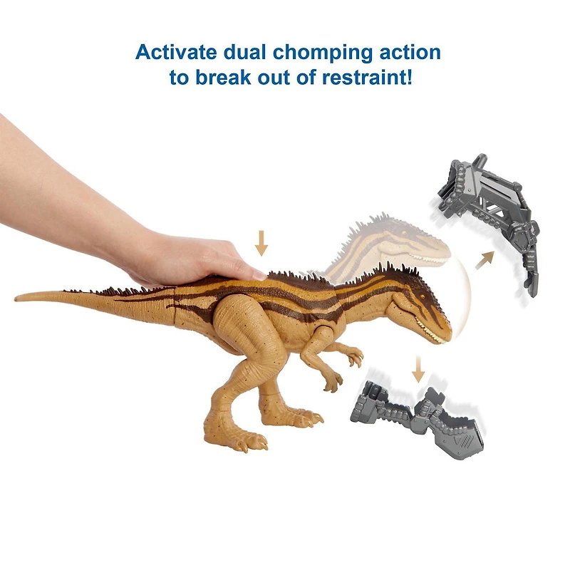 ​Jurassic World Mega Destroyers Carcharodontosaurus Dinosaur Action Figure, Toy Gift with Movable Joints, Attack and Breakout Feature