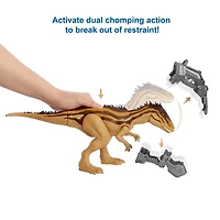 ​Jurassic World Mega Destroyers Carcharodontosaurus Dinosaur Action Figure, Toy Gift with Movable Joints, Attack and Breakout Feature