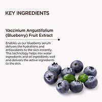 Food Story Sérum Revitalisant Myrtille