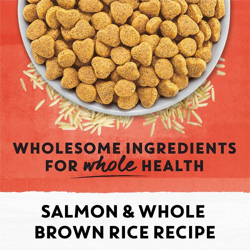 Beyond Simply Salmon & Whole Brown Rice Recipe, Dry Cat Food, 2.72 kg