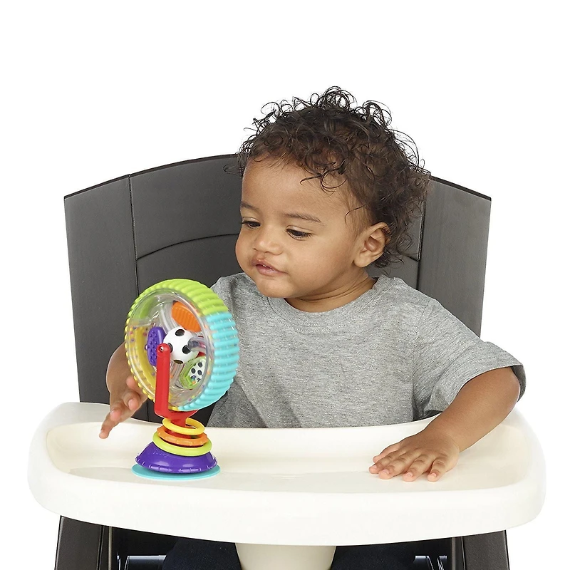 Roue des Merveilles Sassy®