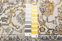 ECARPET Washable Oriental Area Rug & Runner for Kitchen, Bedside, Living Room, Bedroom, Hallway