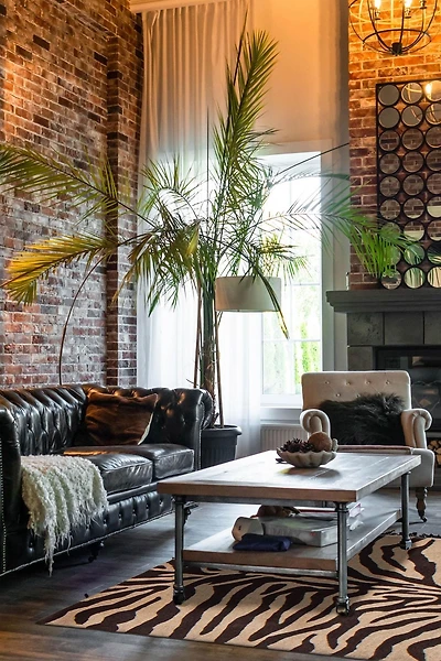 Tapis ECARPETGALLERY Timeless Ivoire 3'0" x 5'0"