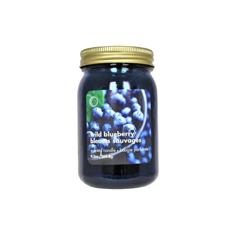9.2Oz Electroplated Mason Jar Bougie (Bleuet Sauvage) - Set of 2