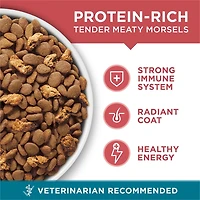 Purina ONE Salmon & Rice, Dry Cat Food, 1.59-7.2 kg