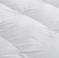 Couette de duvet d’oie Royal Elite