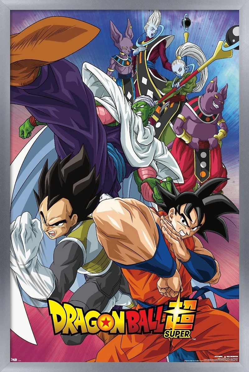 Dragon Ball : Super - Groupe