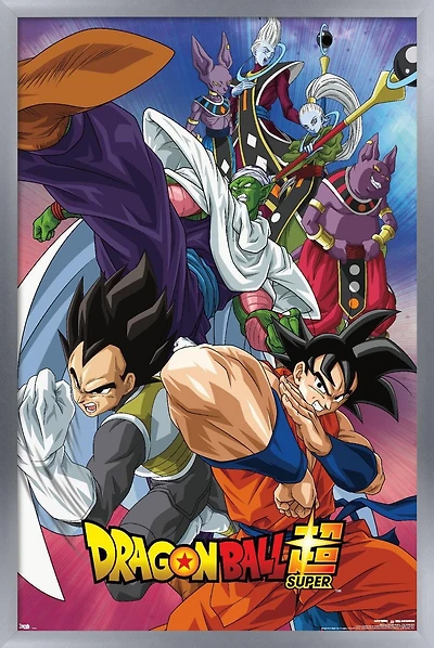 Dragon Ball : Super