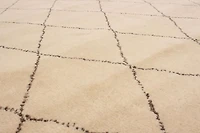 ECARPETGALLERY 5'1" x 7'10" Moroccan Tangier Hand-knotted Area Rug for Living Room, Dining Room and Bedroom in Ivory