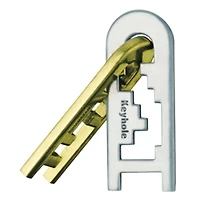 Trou de serrure Hanayama niveau 4