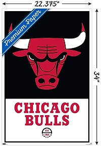 NBA Chicago Bulls