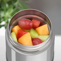 Thermos Funtainer Vacuum Insulated 10 OZ Food Jar, Charcoal, 10 Oz, Charcoal
