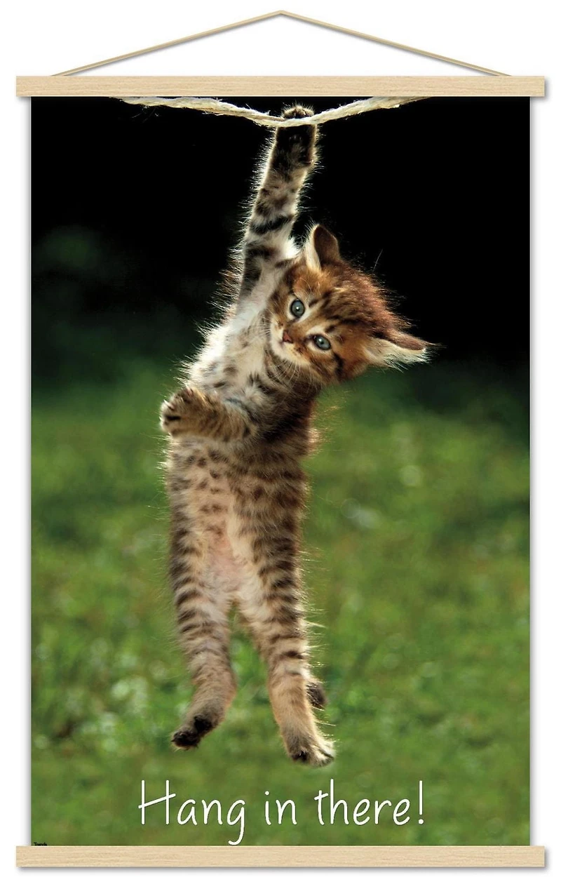 Célèbre chaton accroché là-bas Poster