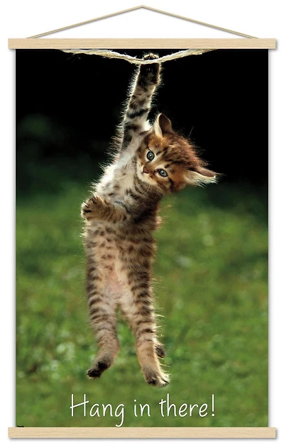 Famous Kitten Hang In There Poster Wall Poster, 22.375" x 34"