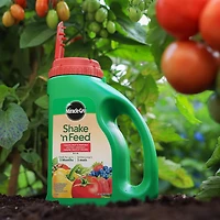 Miracle-Gro Shake N Feed Tomato, Fruits & Vegetables Plant Food 10-5-15  2.04 Kg
