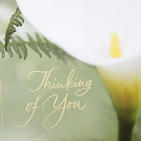 CRD MULTIP  CLS UP P