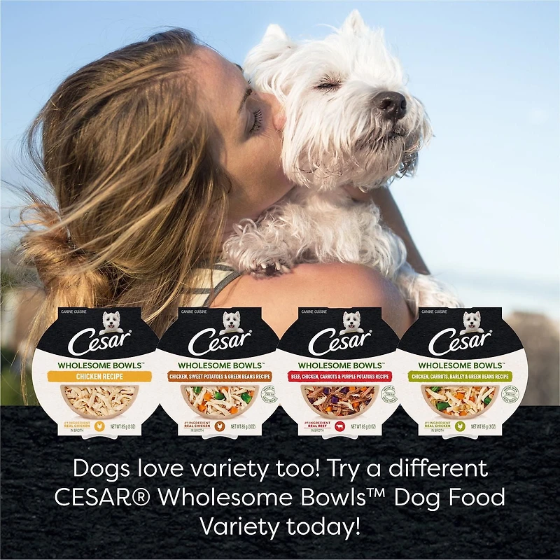 Cesar Wholesome Bowls Chicken, Carrots, Barley & Green Beans Wet Dog Food, 85g