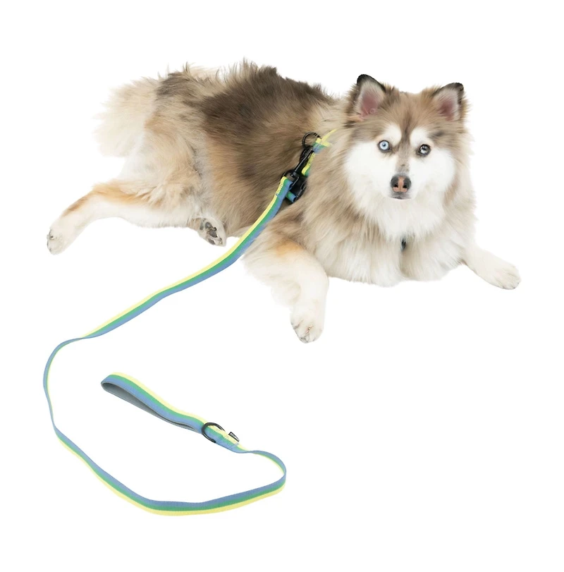 One Paw , Ensemble Harnais et Laisse pour Chien Lot de 3 avec Porte-Sacs à Excréments, Tailles Multiples, Bleu, Chiens