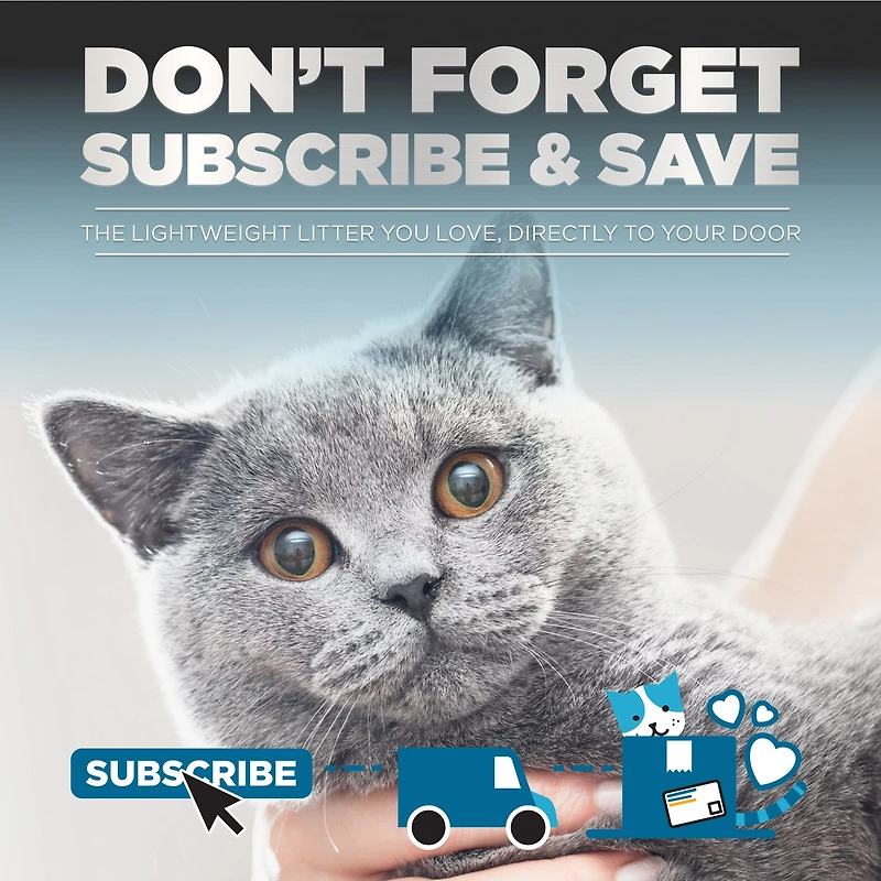 Litière pour Chat Platinum Cloud Control, Gris