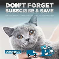Litière pour Chat Platinum Cloud Control, Gris