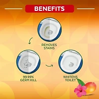 Lysol Lingettes désinfectantes, mangue hibiscus, lingette épaisse et forte, tue 99,99 % des virus et bactéries 75 ct