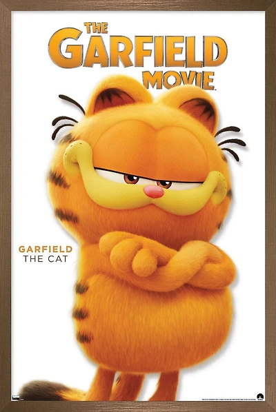 Le film Garfield - Garfield Feature Series 24