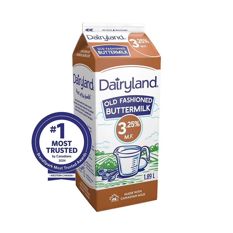 Dairyland Babeurre 3,25 %