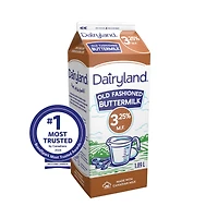 Dairyland Babeurre 3,25 %