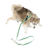 One Paw , Ensemble Harnais et Laisse pour Chien Lot de 3 avec Porte-Sacs à Excréments, Tailles Multiples, Bleu, Chiens