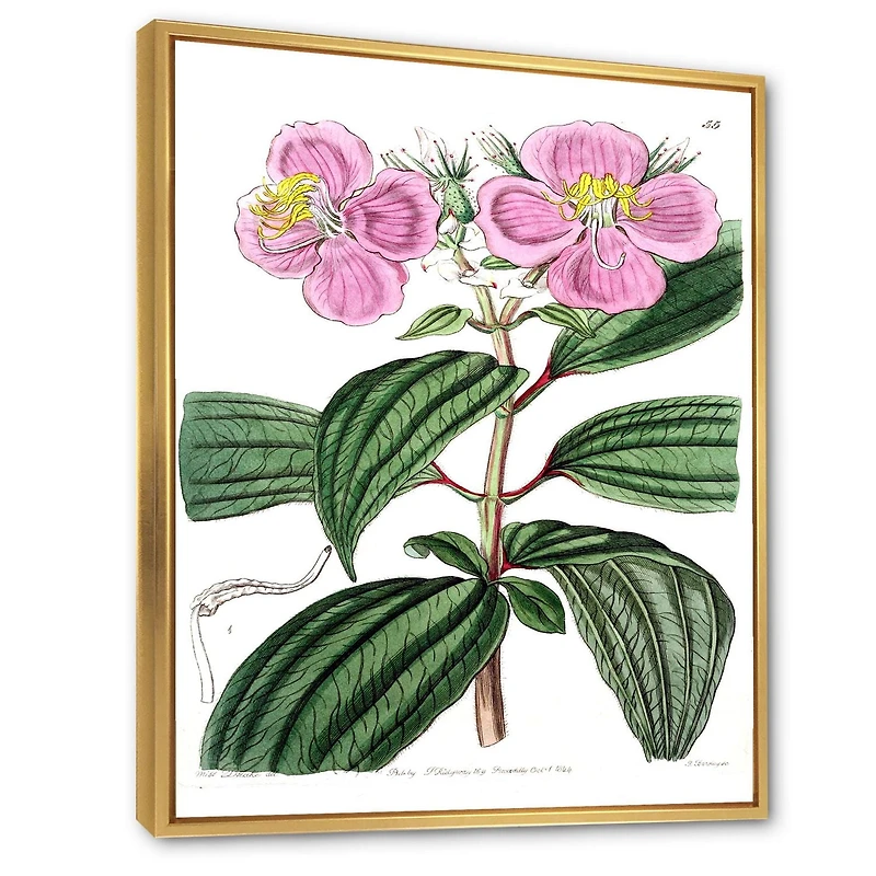 Designart Vintage Plant Life XXIII FLOAT FRAME WALL ART
