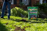 Scotts Turf Builder Terre à pelouse enrichie 0,04-0,04-0,04 - 25 L