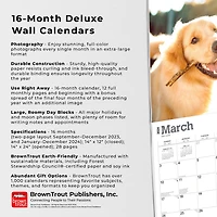 BrownTrout For the Love of Golden Retrievers 2024 14x24 Inch Deluxe Wall Calendar, 9781975468590