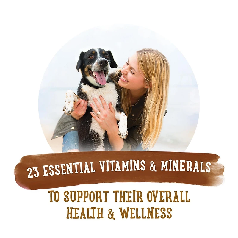 Beneful Prepared Meals Roasted Chicken Recipe, Wet Dog Food 283 g, 283 g