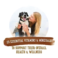 Beneful Prepared Meals Roasted Chicken Recipe, Wet Dog Food 283 g, 283 g