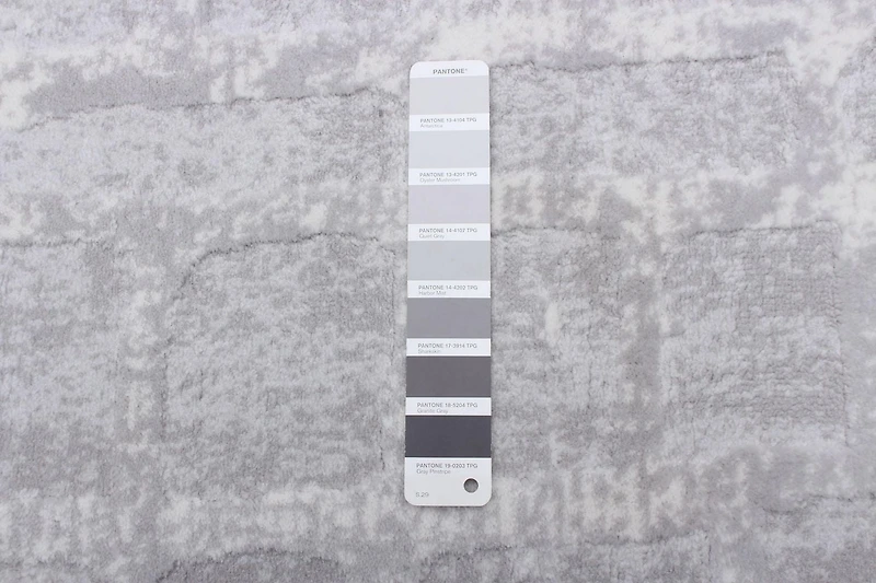 Tapis Ecarpet Moderne Intérieur pour Salon Salle à Manger Collection Anitra