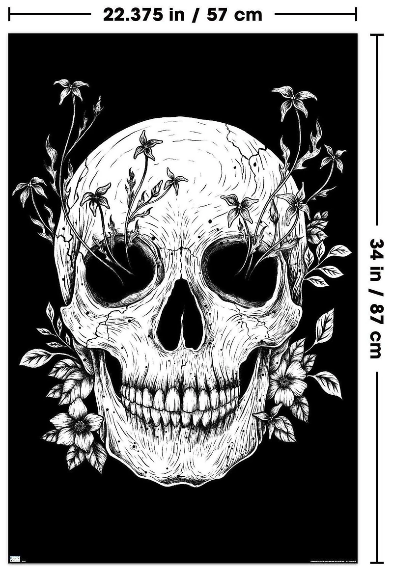 Episodic Drawing - Floral Skull Wall Poster, 22.375" x 34"
