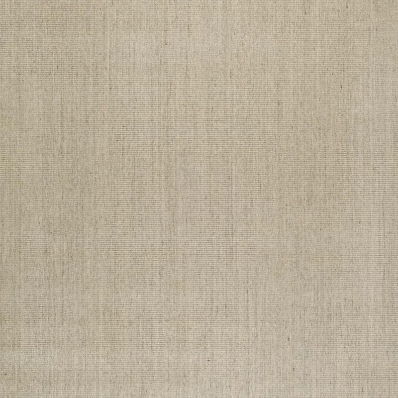 Safavieh Natural Fiber Forrester Border Area Rug