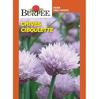 Ciboulette Burpee, Dolores Herb