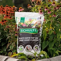 SCH TERRE NOIRE À JARDIN