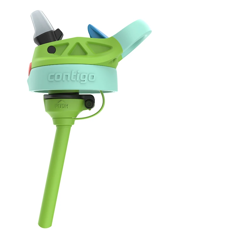 Bouteille d’eau pour enfants Contigo Aubrey avec paille, antifuite et antidéversement, lime fraîche vigne jade 414 ml (14 oz )