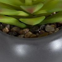 hometrends Kelvin Faux Succulent in Grey Pot