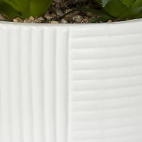 DesignOvation 6.25"H Tabletop Artificial Succulents in White Ribbed Pot