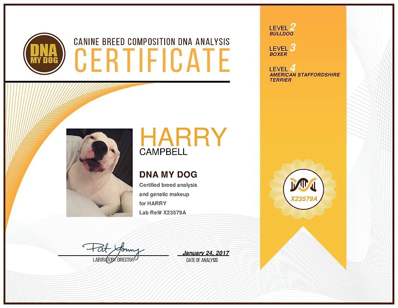 DNA My Dog Canine Breed Identification Test.