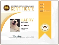 DNA My Dog Canine Breed Identification Test.