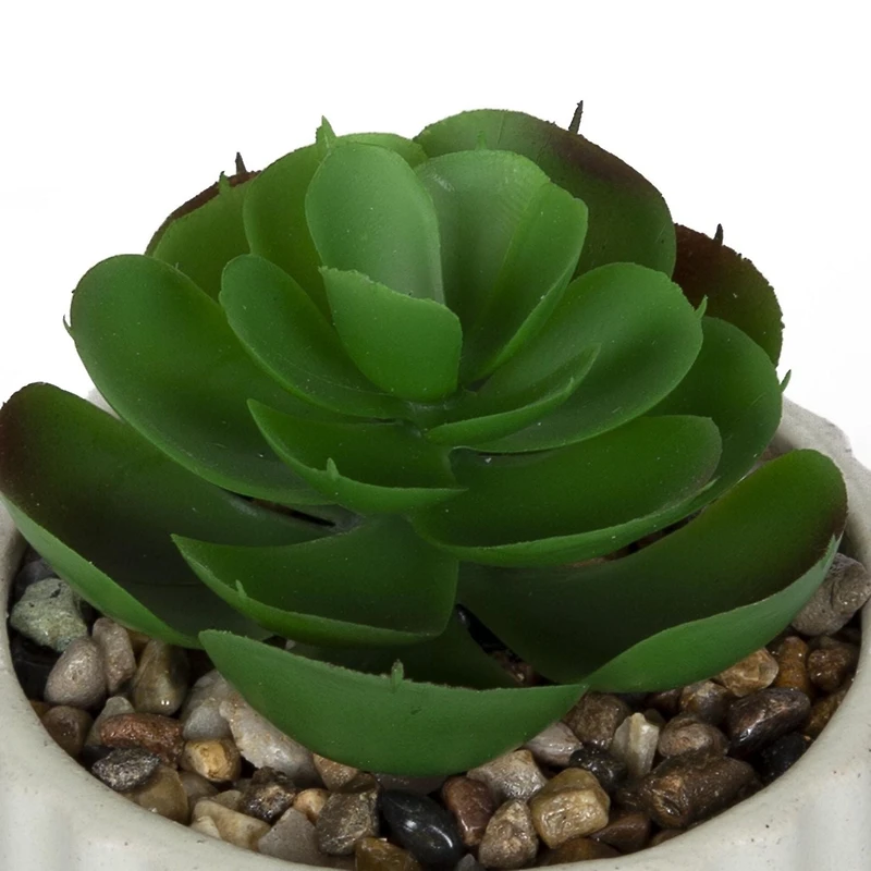 hometrends Cozby Faux Succulent in Cream Pot