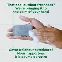 Irish Spring Aloe Mist Pain de Savon Désodorisant pour Hommes, 104.7 g, Emballage de 6 Emballage de 6