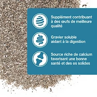 HARI Coquilles d'Huîtres pour Oiseaux de Compagnie, 440g