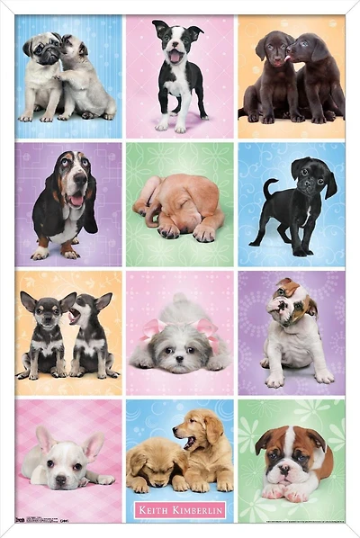 Keith Kimberlin - Puppies