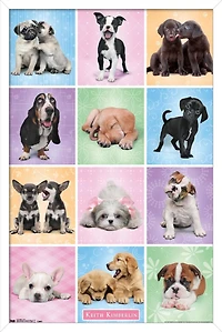 Keith Kimberlin - Puppies