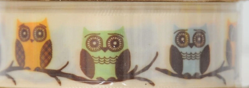 Offray 23mm Owls Ribbon